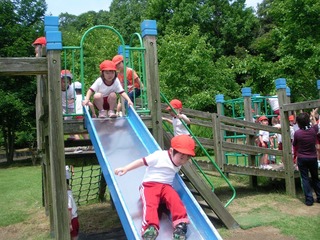RIMG0610