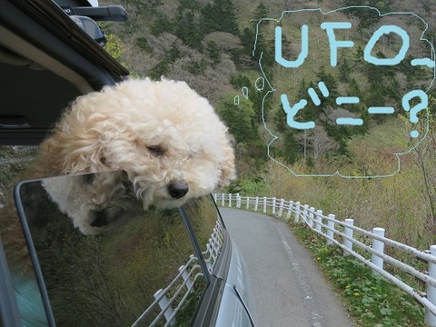 IMG_3278 - コピー