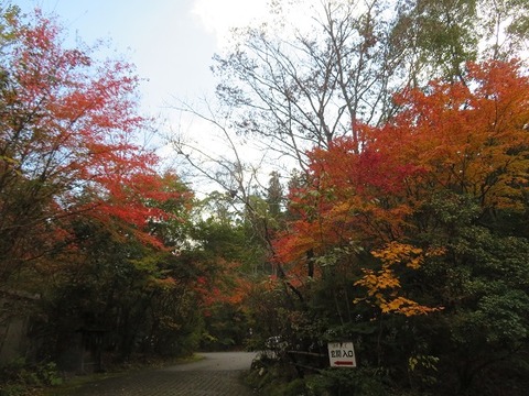１２九州大分天ヶ瀬