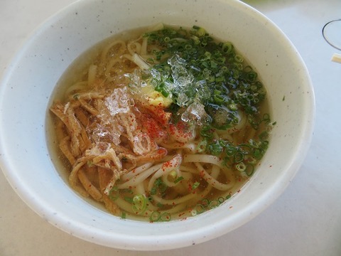 6.hiyasiudon