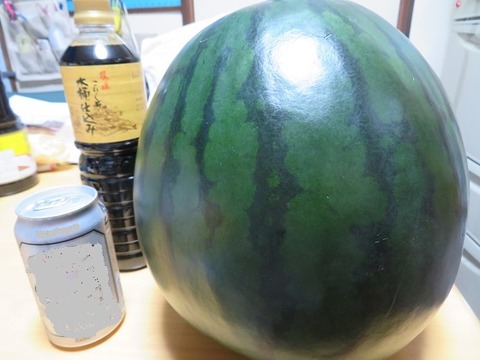 14kuikasaizu