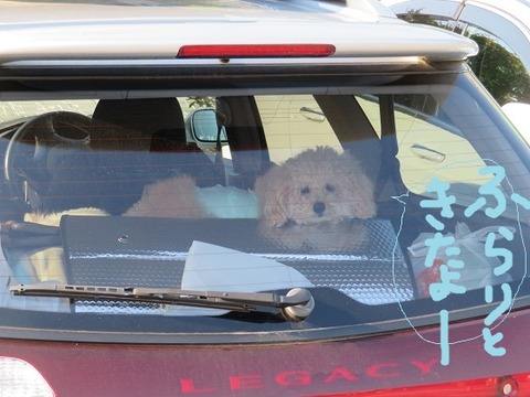 ２、南国風良里