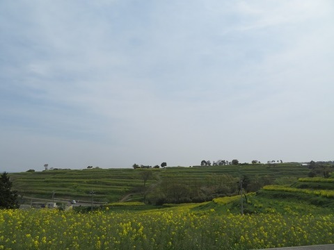 IMG_8630