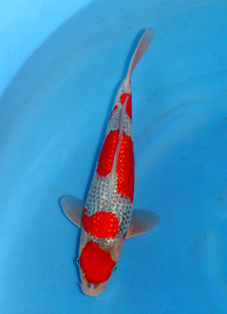 10330511_640409986040349_204048371289263530_n