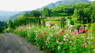 10350422_673319819416032_2614033332765843974_n