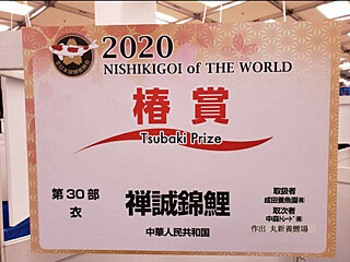 133270