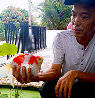 9179_992829647465046_5463993700180817860_n