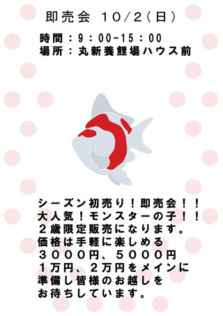 IMG_5928[1]