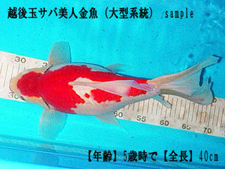 564b63a9