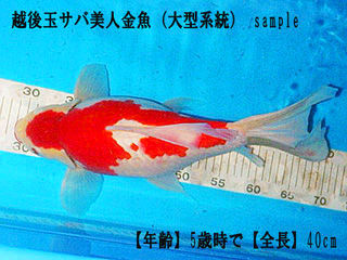 564b63a9