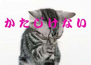 img_228565_27319092_0