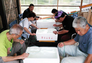 1008478_490637937684222_2090657594_o