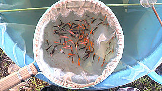 2011072410180000