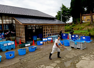 21762638_1485408734873799_4811247970404413019_o