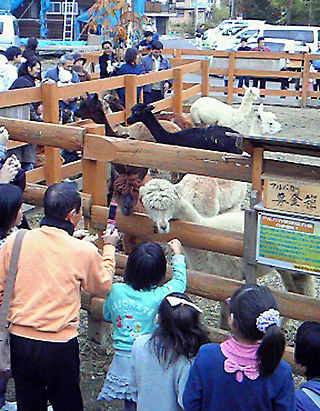 420967851_2350378_2348513