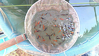 2011072710570000