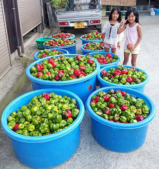 10365746_646190442128970_2977886602157586067_n