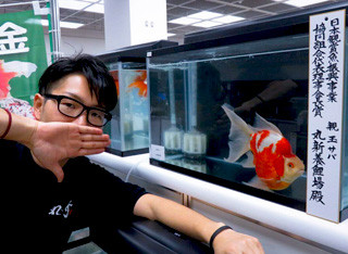 12901537_1009664322448245_6939318155491548170_o