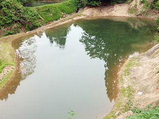 970485_455571997868094_1708810419_n