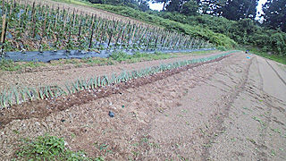 2011072516490000