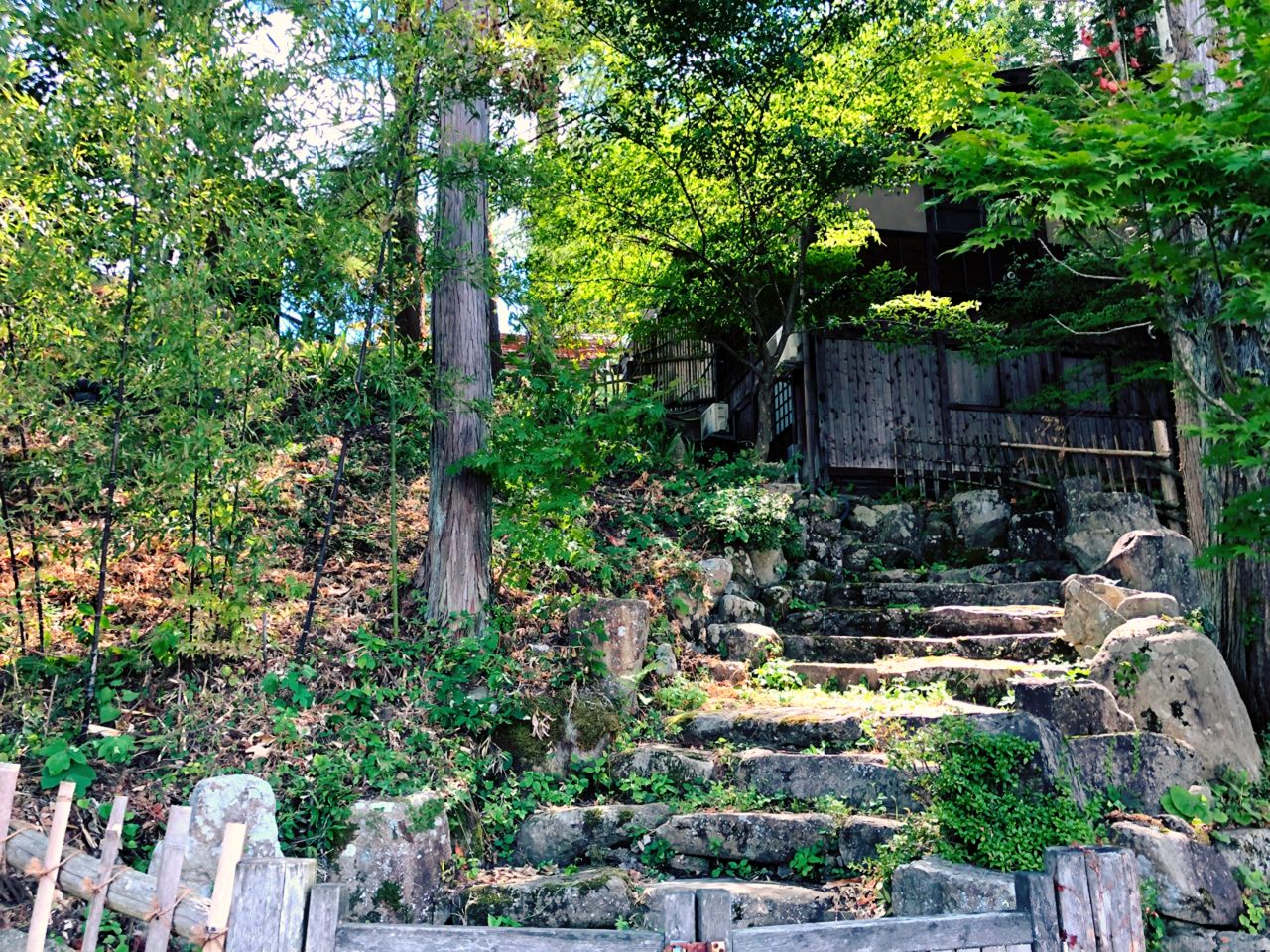 飛騨高山 下呂温泉の旅最終章 飛騨の里で からぶき屋根で昔の風景にうっとり 飛騨牛のステーキに舌つづみ 麦丸びよりブログ
