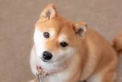 ダウンロード (1)