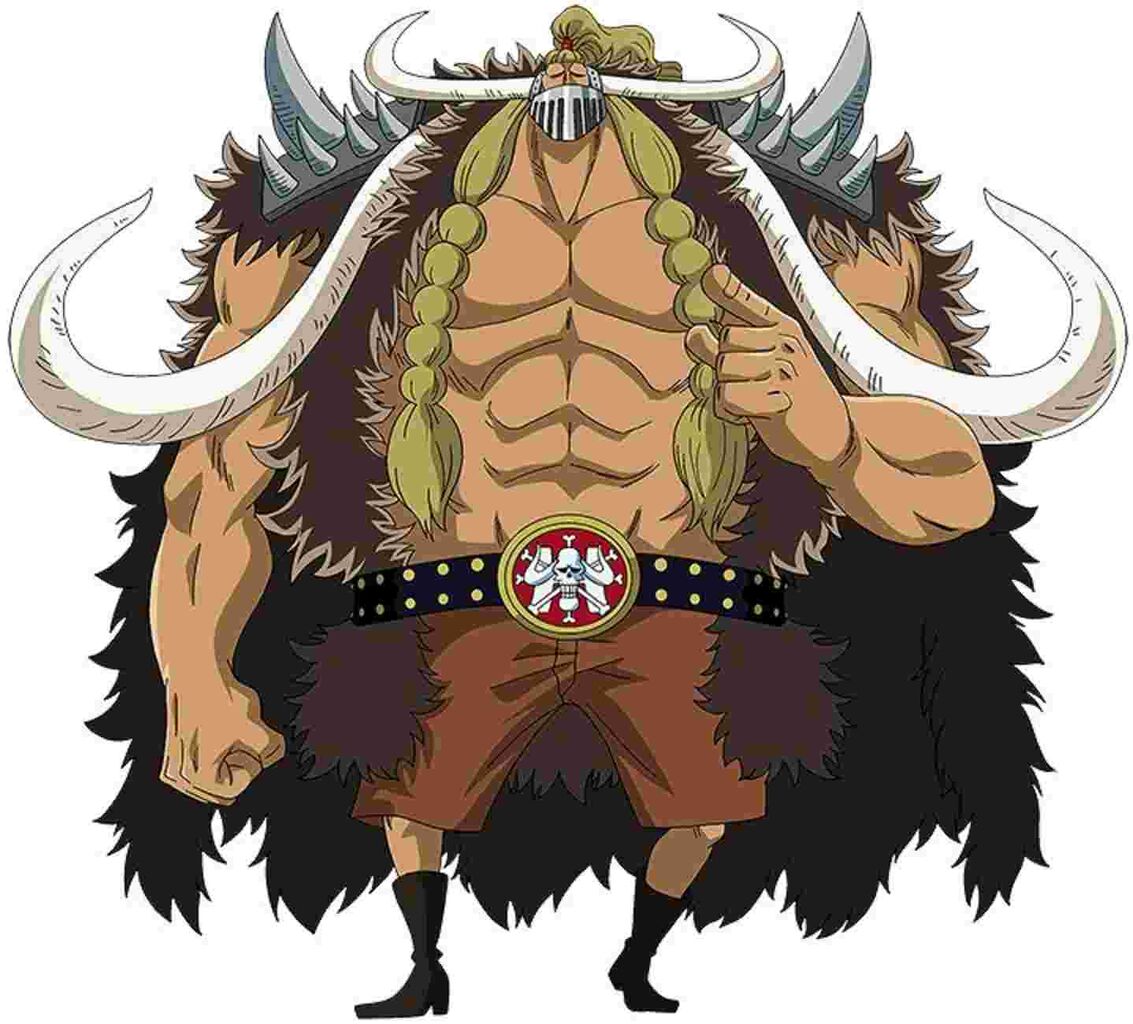 パルちゃん通信 ワンピースの懸賞金ランキングを調べてみた件 八城スタッフブログ