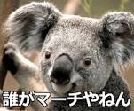 ダウンロード (2)