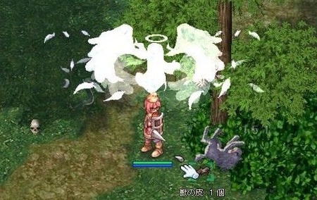 次はウルフ狩り