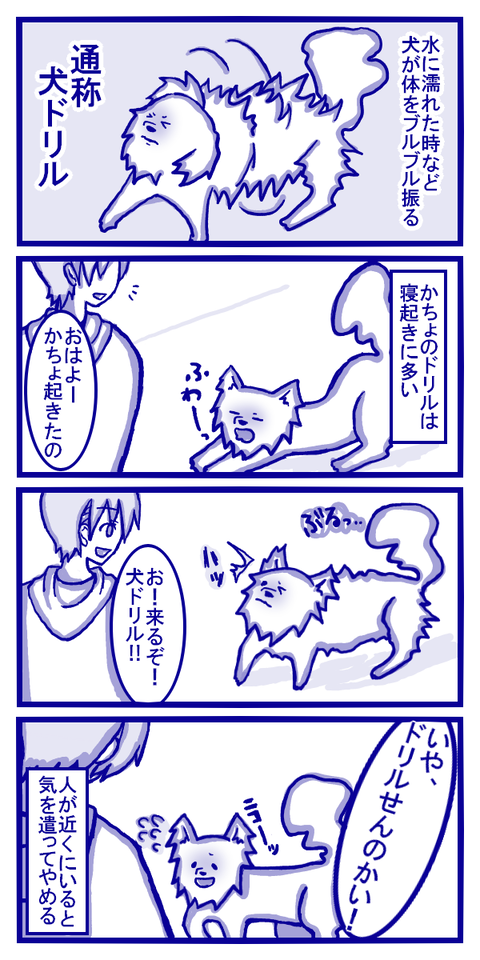 かちょは気遣い屋さん