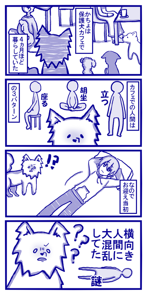 その形もできるん？！
