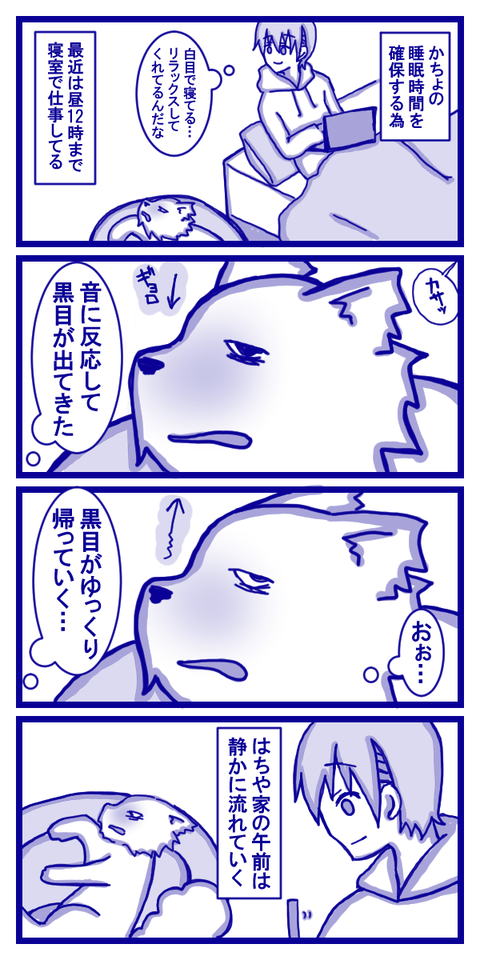 白目のイーヌ