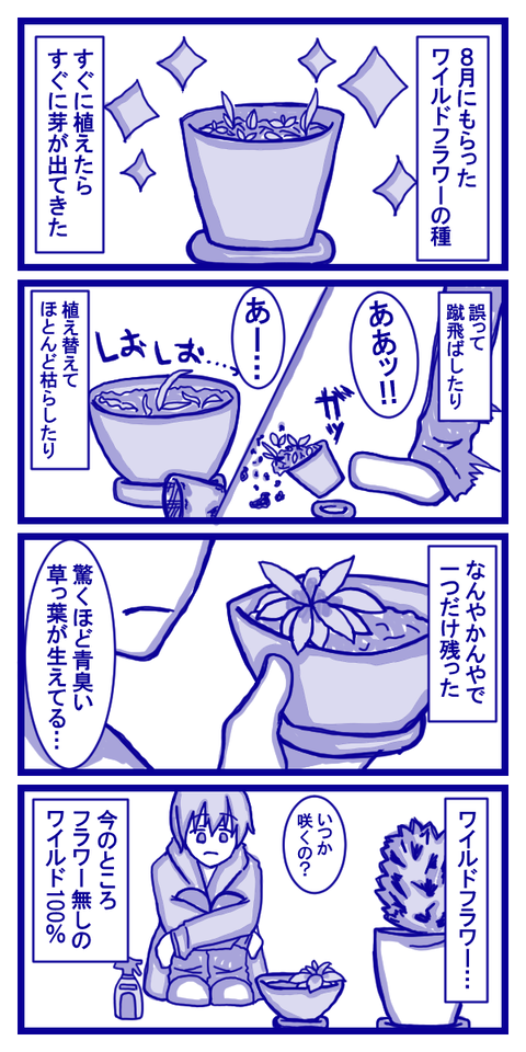 根性あるタイプの草っ葉