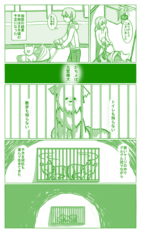 避妊手術②