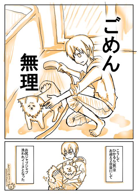 保護犬を迎えた３