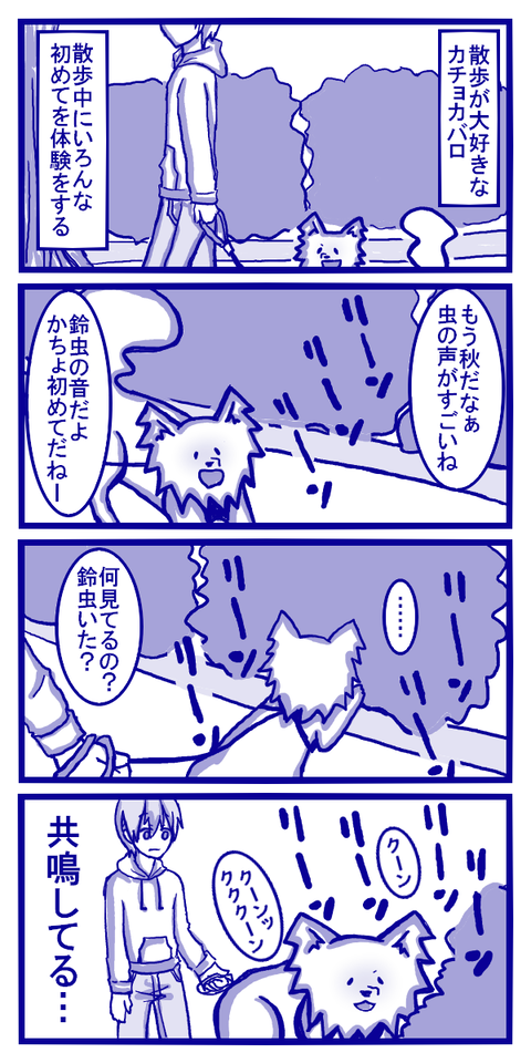 初めての秋の音色