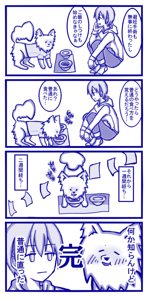 かちょとごはん完