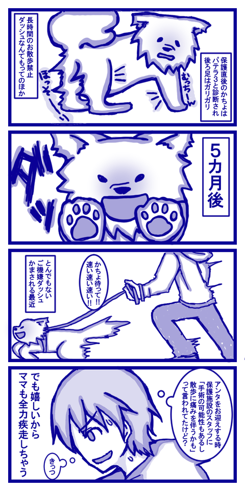 風になりたいイーヌ