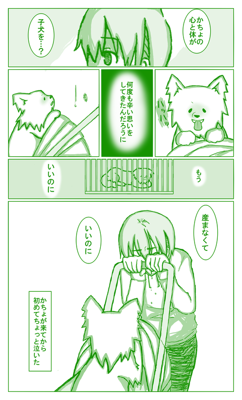 避妊手術④