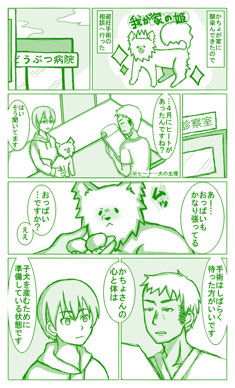避妊手術①
