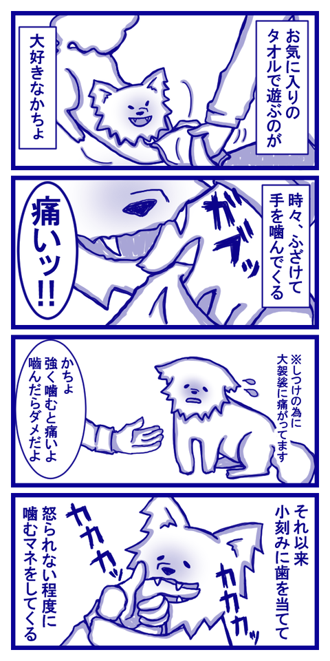 かかかかかかっ