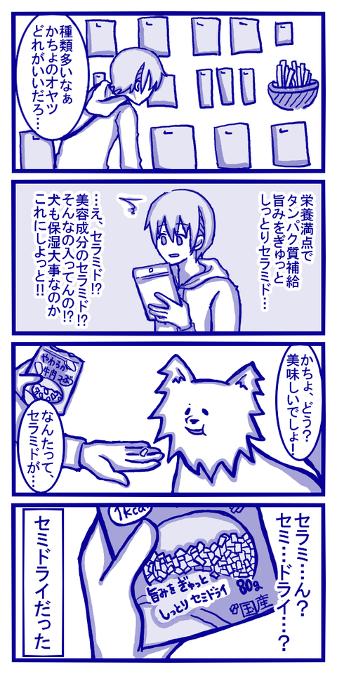 美容成分入りのジャーキー