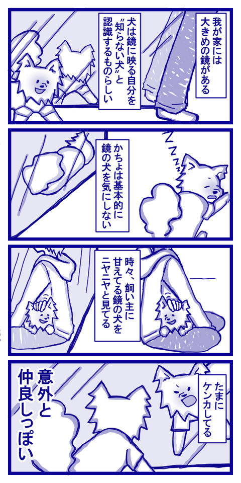 かちょと鏡のイーヌ