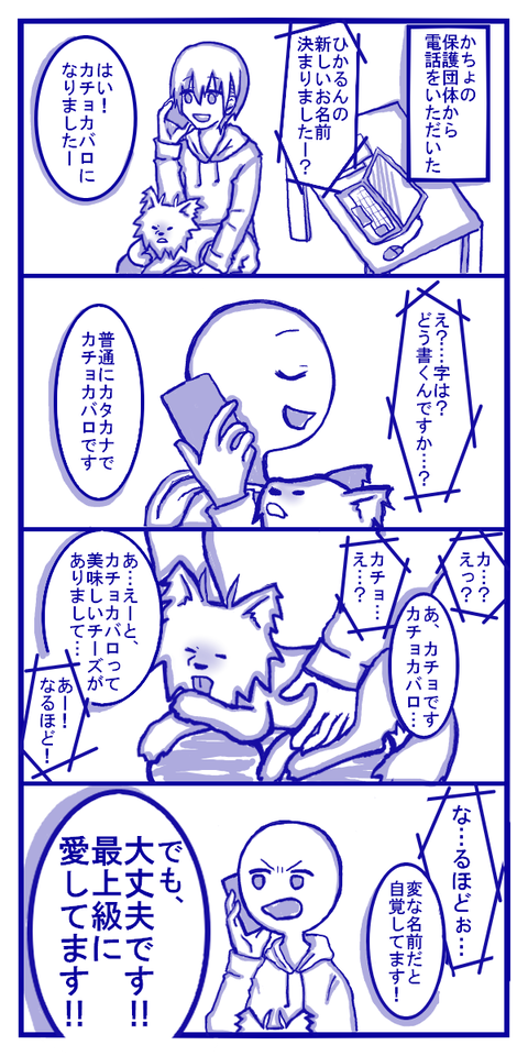 いや、考え抜いた最高の名前なのよ