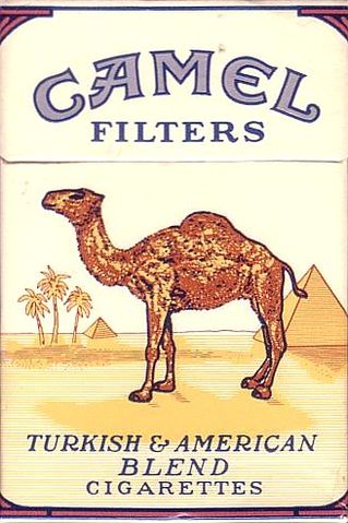 Camel_filtersbox_rjr