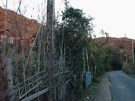 野比4