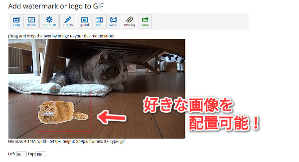 ezgif-overlay