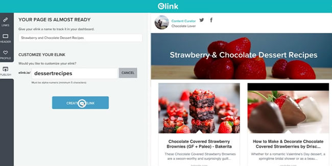 elink-1
