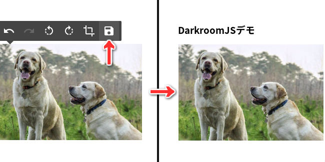 darkroom-js-6