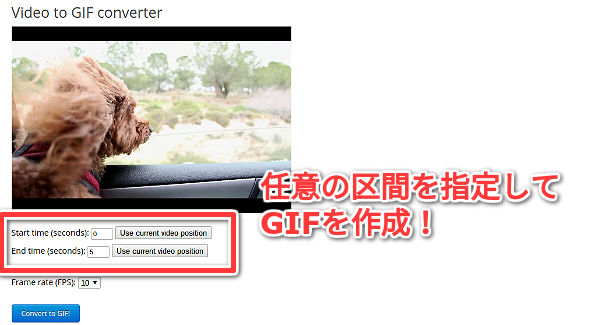 ezgif-video-to-gif2